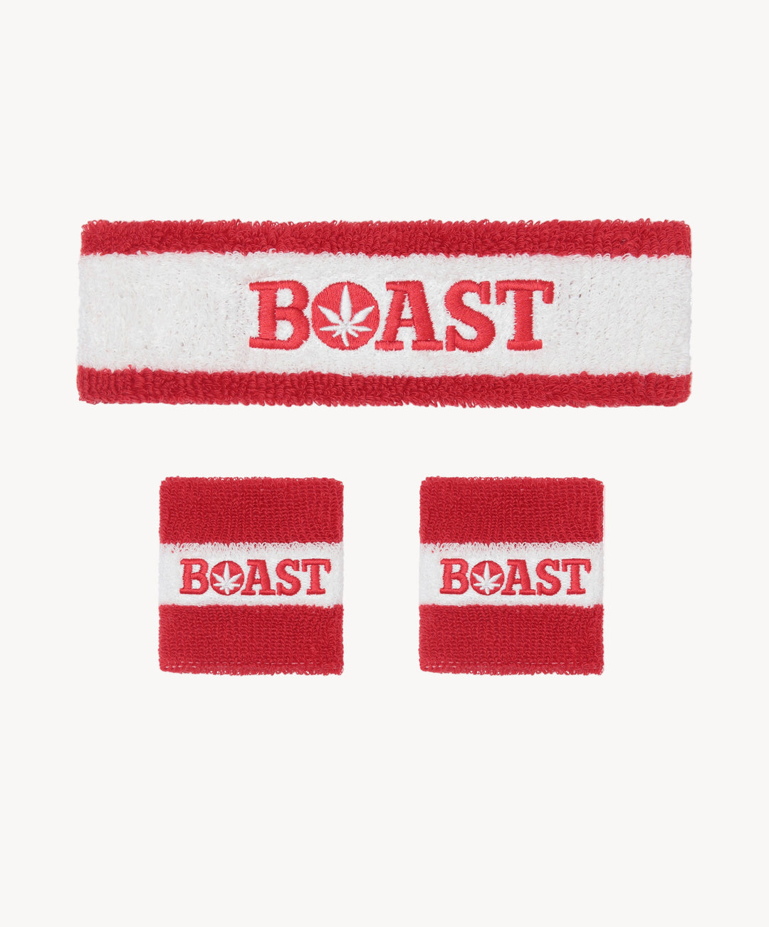 Headband/Wristband Set