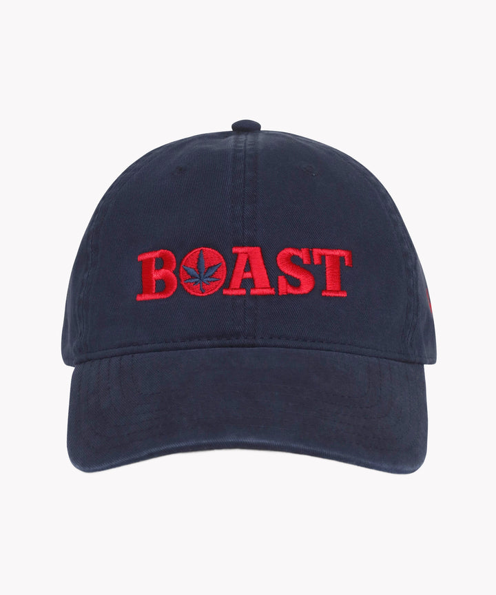 Dad Hat in Navy Red